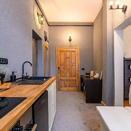 Apartment Ara Centrul Istoric *
