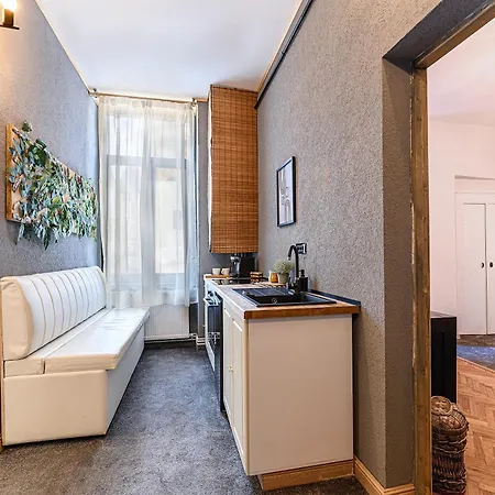Apartment Ara Centrul Istoric *